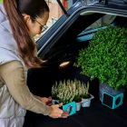 RATI NOOK - csomagrögzítő rendszer [türkiz]